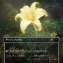 クラウドにユウナ、あの名シーンまでカードに！「当初は英語版のみだったカード」など数々の制作秘話が語られた「マジック：ザ・ギャザリング――FINAL FANTASY」イベントレポ