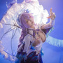 カンタレラ／酸奶酸奶_YVY（Weibo：酸奶酸奶_YVY）