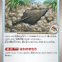 『ポケカ』“ブラックボルト/ホワイトフレア”収録の「ゲノセクトex」が鋼デッキに嬉しい特性持ち！相手ポケモンを退化させる「アーケオス」もユニーク