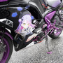 人気ゲーム/アニメ、VTuberまで痛車＆痛バイク総勢150台が集結！キャラクターとクルマへの愛で溢れた奥伊吹を取材【ARCChampionship 2025フォトレポ】
