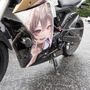 人気ゲーム/アニメ、VTuberまで痛車＆痛バイク総勢150台が集結！キャラクターとクルマへの愛で溢れた奥伊吹を取材【ARCChampionship 2025フォトレポ】
