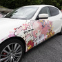 ガルウィングの湊あくあ＆紫咲シオンがイカす！「ホロライブ」「にじさんじ」など奥伊吹に集まったVTuber痛車まとめ【ARCChampionship 2025フォトレポ】