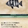 サバイバルキッズ 小さな島の大きな秘密!?