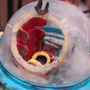 大迫力の「ガンダムバルバトス」から、ひっそり紛れていた「ずんだどん」まで見所目白押し！今年は展示スペースも拡大【八展2025フォトレポート】