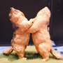 大迫力の「ガンダムバルバトス」から、ひっそり紛れていた「ずんだどん」まで見所目白押し！今年は展示スペースも拡大【八展2025フォトレポート】