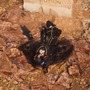 『Stellar Blade』DLCの追加バトルは、まるで“真のニケ2（嘘）”!? 剣客「紅蓮」はラスボス越えの手ごわさ─『勝利の女神：NIKKE』コラボレポ
