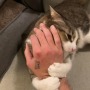 飼い猫でのRTA挑戦で数々の世界記録達成―数カ月に渡り謎カテゴリーを生み出しつづけるスピードランナー