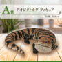 リアルで可愛い「一番くじ 爬虫類＆両生類」第2弾の全ラインナップ公開！ラストワン賞はペロッと舌を出したアオジタトカゲ