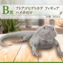 リアルで可愛い「一番くじ 爬虫類＆両生類」第2弾の全ラインナップ公開！ラストワン賞はペロッと舌を出したアオジタトカゲ