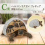 リアルで可愛い「一番くじ 爬虫類＆両生類」第2弾の全ラインナップ公開！ラストワン賞はペロッと舌を出したアオジタトカゲ