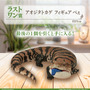 リアルで可愛い「一番くじ 爬虫類＆両生類」第2弾の全ラインナップ公開！ラストワン賞はペロッと舌を出したアオジタトカゲ
