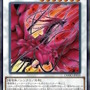 『遊戯王OCG』トライブリゲード、真竜の新規カード5枚が一挙公開！十六夜アキの「ブラック・ローズ・ドラゴン」関連カードも多数新登場