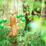 『ポケモン』初の屋外常設施設「ポケパーク カントー」2026年春にグランドオープン！