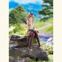 太ももが蓋を抑えてくれる！「ライザ」ぬーどるストッパーフィギュアが登場