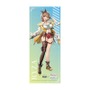 ライザの着せ替えイラストも復刻！『アズレン』×『ユミアのアトリエ』コラボグッズ予約受付中ータペストリー、クッションなど勢揃い