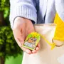 「ちいかわ ハッピーバッグ2026（午年）」が予約受付中！馬になったぬいぐるみや、ユニークな絵柄のポストカードブックなど計9アイテムセット