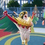 『ポケモンレジェンズZ-A』新たなメガシンカ「メガルチャブル」発表！筋肉増量でレスラー感マシマシにパワーアップ