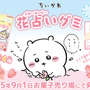 ちいかわ、ハチワレが可愛いグミに！「ちいかわ 花占いグミ」9月1日発売―「イヤ…」「ワーイ…」の印象的なシーンをイメージ