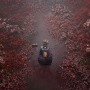 『SILENT HILL f』動画やスクショの投稿ガイドライン公開―プレイ動画などでのネタバレへの配慮を求める注意喚起も