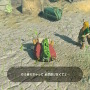 任天堂の“あのキャラ”があんなことに……『ゼル伝』コログ、『トモコレ』Mii、そして『FE』最新作でも驚きの変貌か!?