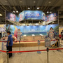 【コスプレ】『ブラウンダスト2』ドキドキの夏衣装で魅了する韓国美女たち！美しすぎるスタイルに酔いしれよ【写真19枚】