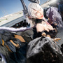 リリス『Fate/Grand Order』／餓小璇miu－璇哥 （Instagram：miu.cosplayer）【台湾】