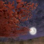 (c)2007 Gamania Digital Entertainment Co., Ltd. All Rights Reserved. (c)2006-2007 EASYFUN Entertainment Corp. All Rights Reserved.