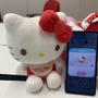 © '25 SANRIO CO., LTD. APPR. NO. G660075