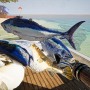 チラズアート新作は日本の霧に包まれた海域が舞台！『UMIGARI | ウミガリ』発表。デモ版配信