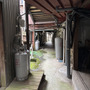 『SILENT HILL f』の舞台を聖地巡礼してみた―ゲームの世界まんまの昭和レトロな「筋骨めぐり」に大興奮！Steam Deckで遊ぶ“最適プレイスポット”も探してみたぞ【前編】