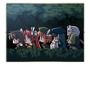 Princess Frontier Portable