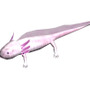 釣りパラダイス!