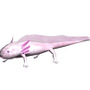 釣りパラダイス!