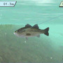 FISH ON