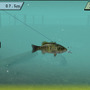 FISH ON
