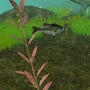 FISH ON