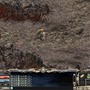 リネージュ