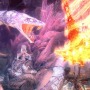 ナイツコントラクト