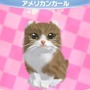 かわいい子猫３Ｄ