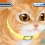 かわいい子猫３Ｄ