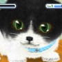 かわいい子猫３Ｄ
