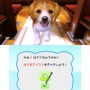 村で動物たちとの生活を満喫『オシャレでかわいい 子犬と遊ぼ！-海編-』12月20日発売