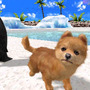 村で動物たちとの生活を満喫『オシャレでかわいい 子犬と遊ぼ！-海編-』12月20日発売