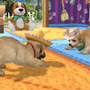 村で動物たちとの生活を満喫『オシャレでかわいい 子犬と遊ぼ！-海編-』12月20日発売