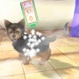 村で動物たちとの生活を満喫『オシャレでかわいい 子犬と遊ぼ！-海編-』12月20日発売
