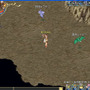 Wonderland ONLINE