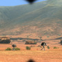 AFRIKA
