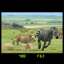 AFRIKA