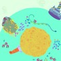 SCEJA、不思議系アクションゲーム『Hohokum』の配信開始日を2014年に延期