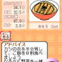 からだサポート研究所 糖尿病編